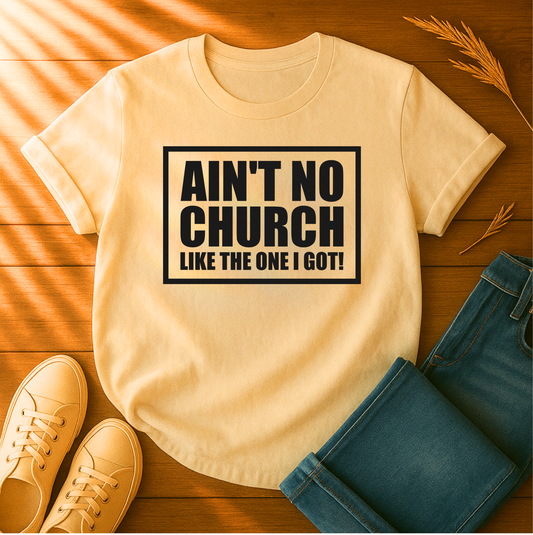 Ain't No Church T-Shirt